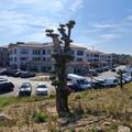 Coworking & bureaux flexibles à Aubagne - 13400 photo - 5