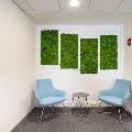 Coworking & bureaux flexibles à Schiltigheim - 67300 photo - 1