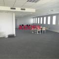 Location de bureau de 1 133 m² à Balma - 31130 photo - 5
