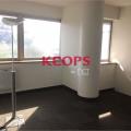 Location de bureau de 2 543 m² à Balma - 31130 photo - 10
