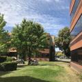 Location de bureau de 207 m² à Blagnac - 31700 photo - 2