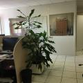 Location de bureau de 200 m² à Bouguenais - 44340 photo - 3