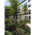 Location de bureau de 12 474 m² à Clamart - 92140 photo - 16