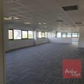 Location de bureau de 280 m² à Colomiers - 31770 photo - 4