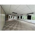 Location de bureau de 379 m² à Colomiers - 31770 photo - 15