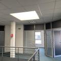 Location de bureau de 707 m² à Geispolsheim - 67118 photo - 2