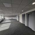 Location de bureau de 413 m² à Lille - 59000 photo - 6