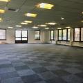 Location de bureau de 255 m² à Lingolsheim - 67380 photo - 2