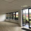 Location de bureau de 493 m² à Lingolsheim - 67380 photo - 2