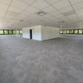 Location de bureau de 396 m² à Lingolsheim - 67380 photo - 6