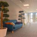 Location de bureau de 800 m² à Lyon 9 - 69009 photo - 5