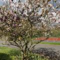 Location de bureau de 164 m² à Magny-les-Hameaux - 78114 photo - 17