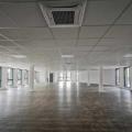 Location de bureau de 2 036 m² à Marcq-en-Baroeul - 59700 photo - 5