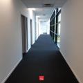 Location de bureau de 778 m² à Montbonnot-Saint-Martin - 38330 photo - 7