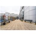 Location de bureau de 2 889 m² à Noisy-le-Grand - 93160 photo - 9