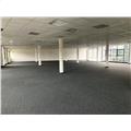 Location de bureau de 2 444 m² à Schiltigheim - 67300 photo - 6