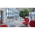 Location de bureau de 286 m² à Schiltigheim - 67300 photo - 3
