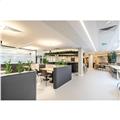 Location de bureau de 1 032 m² à Suresnes - 92150 photo - 4
