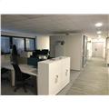 Location de bureau de 1 092 m² à Toulouse - 31000 photo - 19