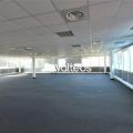 Location de bureau de 415 m² à Toulouse - 31000 photo - 1
