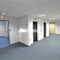 Location de bureau de 173 m² à Toulouse - 31000 photo - 7