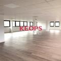 Location de bureau de 643 m² à Toulouse - 31000 photo - 10