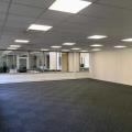 Location de bureau de 209 m² à Toulouse - 31000 photo - 2