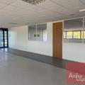 Location de bureau de 964 m² à Toulouse - 31000 photo - 4