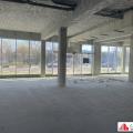 Location de local commercial de 856 m² à Bordeaux - 33000 photo - 6