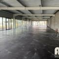 Location de local commercial de 240 m² à Colomiers - 31770 photo - 1
