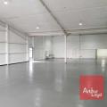 Location de local commercial de 507 m² à Saint-Jory - 31790 photo - 5