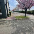 Location d'entrepôt de 450 m² à Coignières - 78310 photo - 16