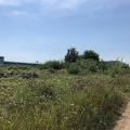 Location d'entrepôt de 740 m² à Duppigheim - 67120 photo - 2