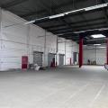 Location d'entrepôt de 6 965 m² à Illkirch-Graffenstaden - 67400 photo - 4