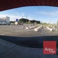 Location d'entrepôt de 1 408 m² à Portet-sur-Garonne - 31120 photo - 4