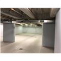 Location d'entrepôt de 3 103 m² à Puteaux - 92800 photo - 6