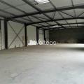 Location d'entrepôt de 512 m² à Saint-Jory - 31790 photo - 4