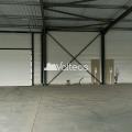 Location d'entrepôt de 512 m² à Saint-Jory - 31790 photo - 5