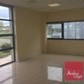 Location d'entrepôt de 2 617 m² à Villeneuve-lès-Bouloc - 31620 photo - 8