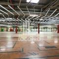 Location d'entrepôt de 9 134 m² à Vitrolles - 13127 photo - 5