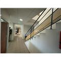 Bureau à vendre de 850 m² à Merville - 31330 photo - 7