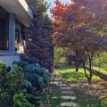 Entrepôt à vendre de 900 m² à Annemasse - 74100 photo - 3