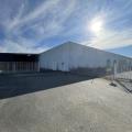 Entrepôt à vendre de 5 600 m² à Cholet - 49300 photo - 3