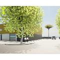 Entrepôt à vendre de 1 749 m² à Montauban - 82000 photo - 3