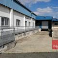 Entrepôt à vendre de 1 660 m² à Saint-Alban - 31140 photo - 3