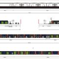Entrepôt à vendre de 6 800 m² à Toulouse - 31000 plan - 3