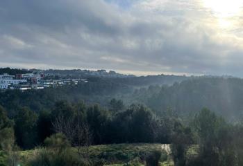 Location bureaux - Sophia Antipolis - Proche Antibes et Nice  à Biot - 06410