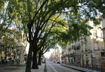 Location bureaux centre - Proche Tram D et bus