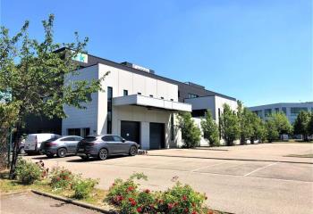 Location bureaux - Proche Aéroport et Autoroute A35  à Entzheim - 67960