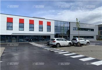 Location bureaux - Proximité commerces et transports  à Entzheim - 67960